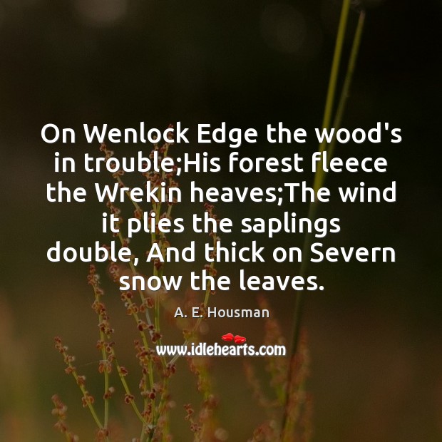 On Wenlock Edge the wood’s in trouble;His forest fleece the Wrekin A. E. Housman Picture Quote