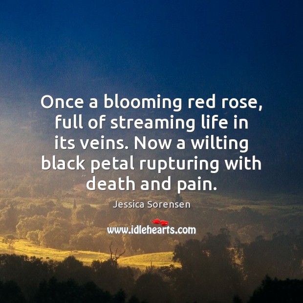 Once a blooming red rose, full of streaming life in its veins. Jessica Sorensen Picture Quote