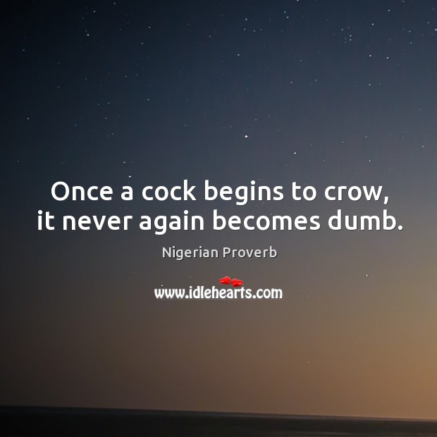 Once a cock begins to crow, it never again becomes dumb. Nigerian Proverbs Image