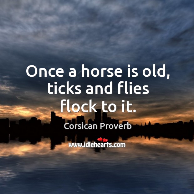 Once a horse is old, ticks and flies flock to it. Image