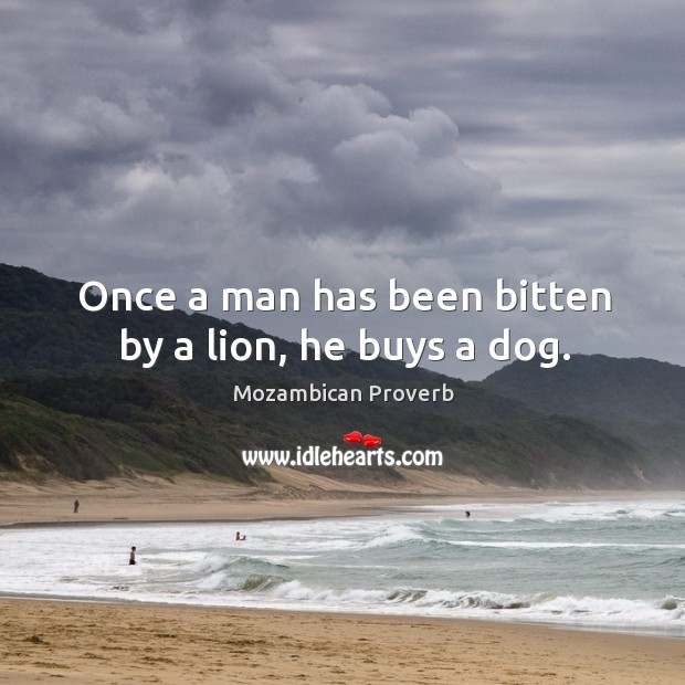Once a man has been bitten by a lion, he buys a dog. Mozambican Proverbs Image