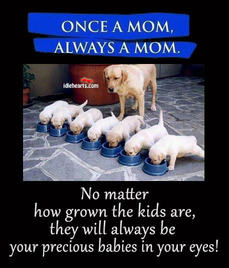 Once a mom, always a mom! Image