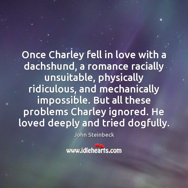 Once Charley fell in love with a dachshund, a romance racially unsuitable, John Steinbeck Picture Quote