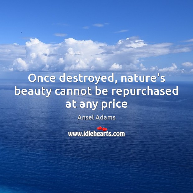 Once destroyed, nature’s beauty cannot be repurchased at any price Ansel Adams Picture Quote