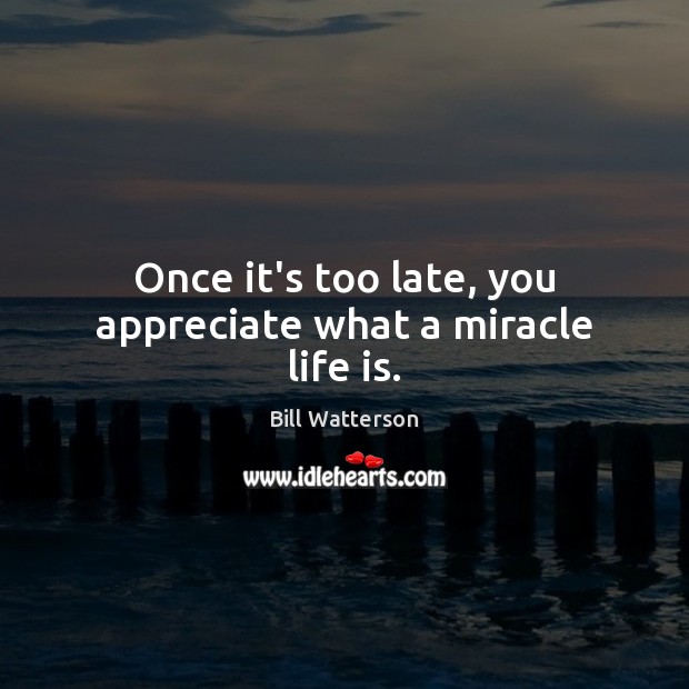 Once it’s too late, you appreciate what a miracle life is. Image