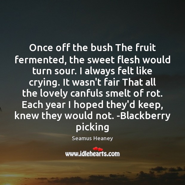 Once off the bush The fruit fermented, the sweet flesh would turn Seamus Heaney Picture Quote