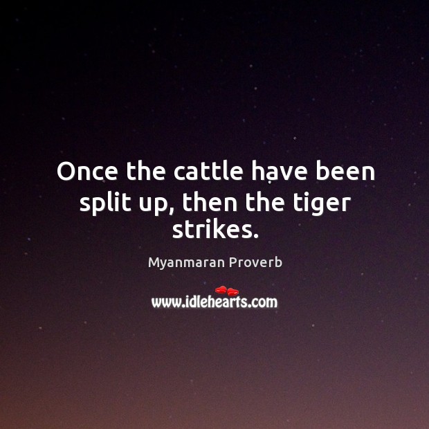 Once the cattle have been split up, then the tiger strikes. Myanmaran Proverbs Image