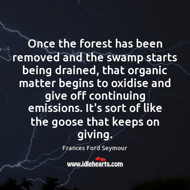 Once the forest has been removed and the swamp starts being drained, Image