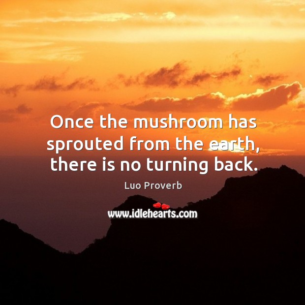 Once the mushroom has sprouted from the earth, there is no turning back. Luo Proverbs Image