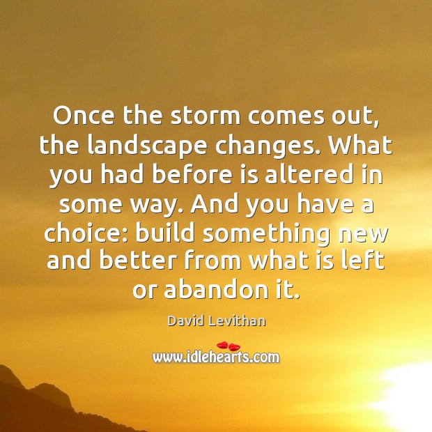 Once the storm comes out, the landscape changes. What you had before David Levithan Picture Quote