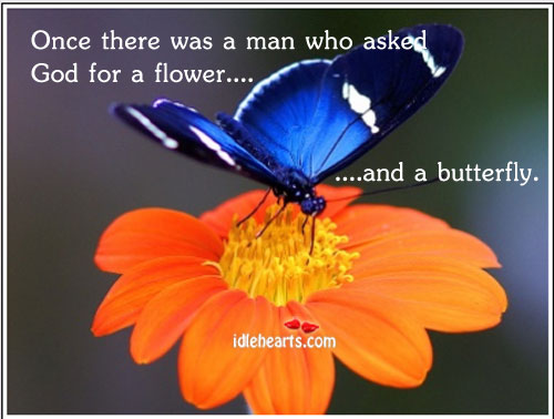 The butterfly and the flower People Quotes Image