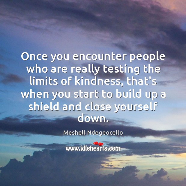 Once you encounter people who are really testing the limits of kindness, Meshell Ndegeocello Picture Quote
