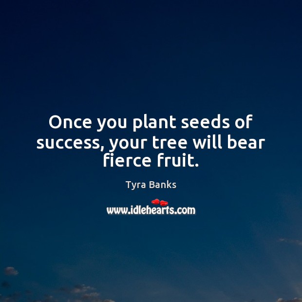 Once you plant seeds of success, your tree will bear fierce fruit. Tyra Banks Picture Quote