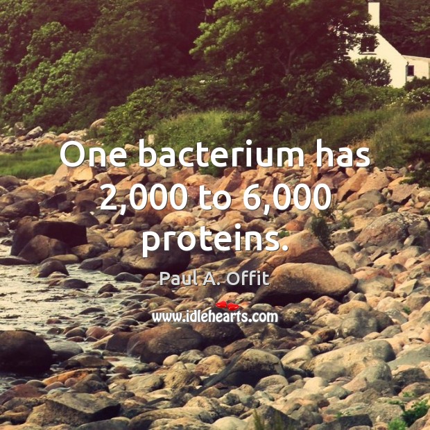 One bacterium has 2,000 to 6,000 proteins. Paul A. Offit Picture Quote