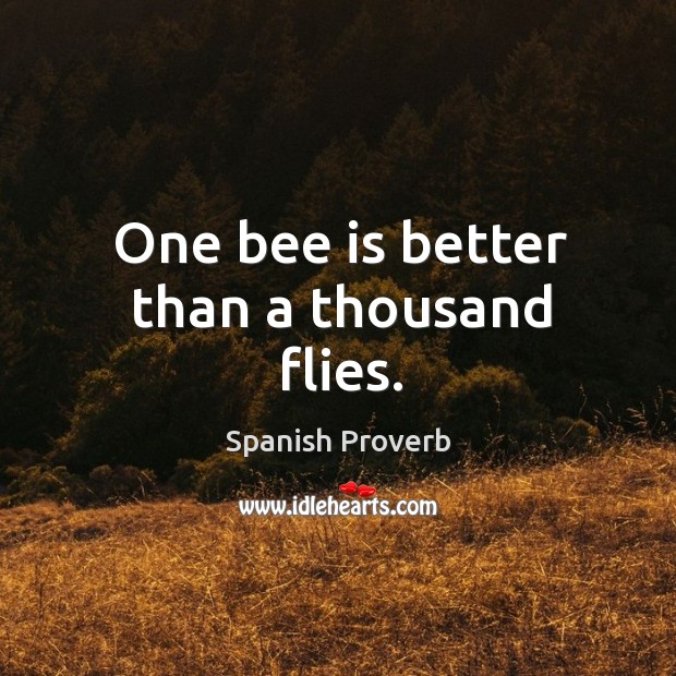 One bee is better than a thousand flies. Image