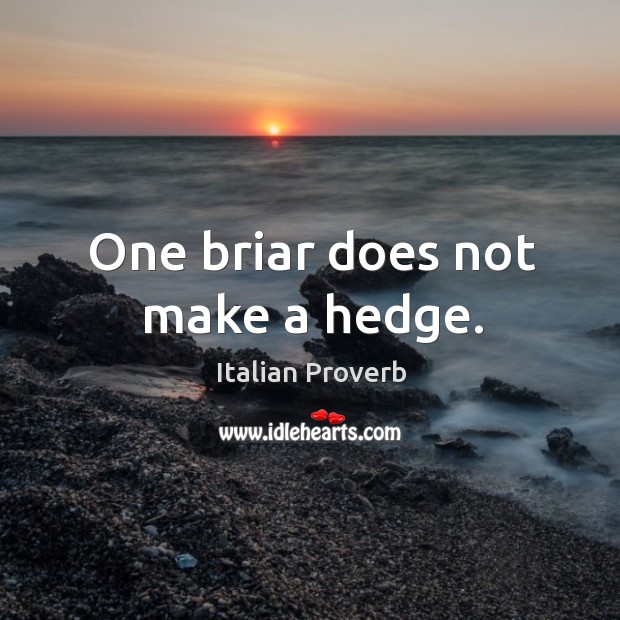 One briar does not make a hedge. Image