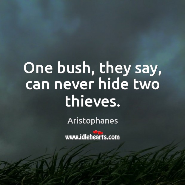 One bush, they say, can never hide two thieves. Image
