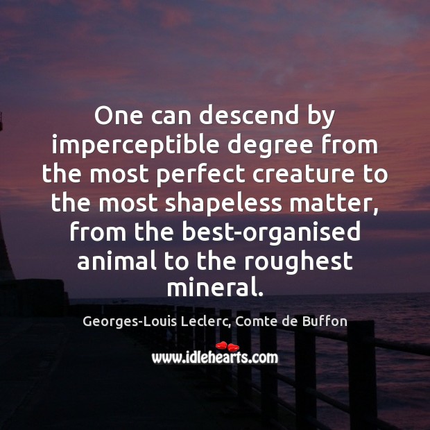 One can descend by imperceptible degree from the most perfect creature to Georges-Louis Leclerc, Comte de Buffon Picture Quote