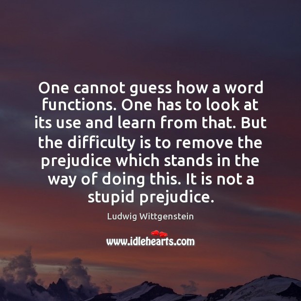 One cannot guess how a word functions. One has to look at Ludwig Wittgenstein Picture Quote