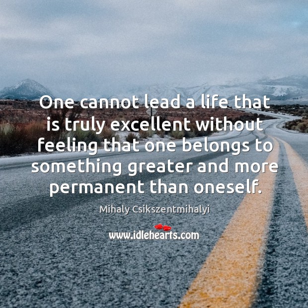 One cannot lead a life that is truly excellent without feeling that Mihaly Csikszentmihalyi Picture Quote