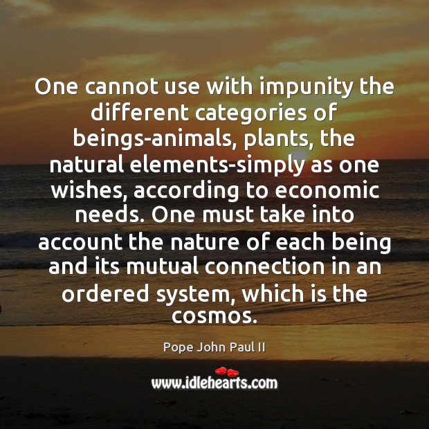 One cannot use with impunity the different categories of beings-animals, plants, the Pope John Paul II Picture Quote