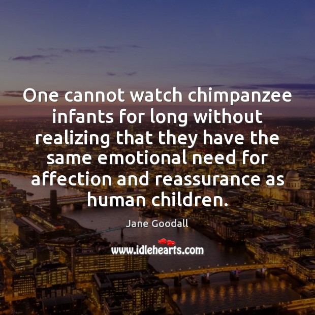 One cannot watch chimpanzee infants for long without realizing that they have Jane Goodall Picture Quote