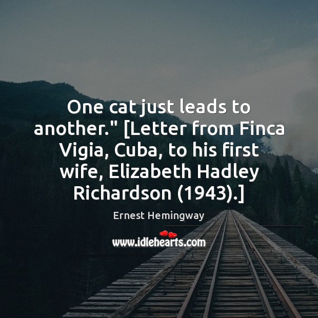 One cat just leads to another.” [Letter from Finca Vigia, Cuba, to Image