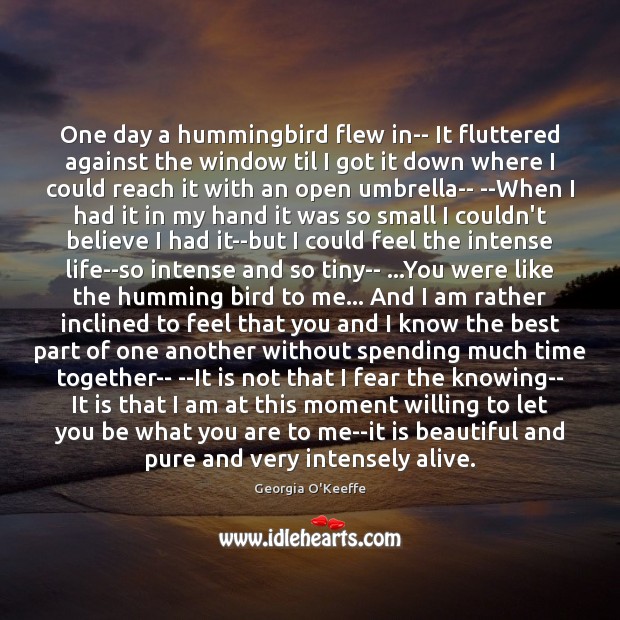 One day a hummingbird flew in– It fluttered against the window til Time Together Quotes Image