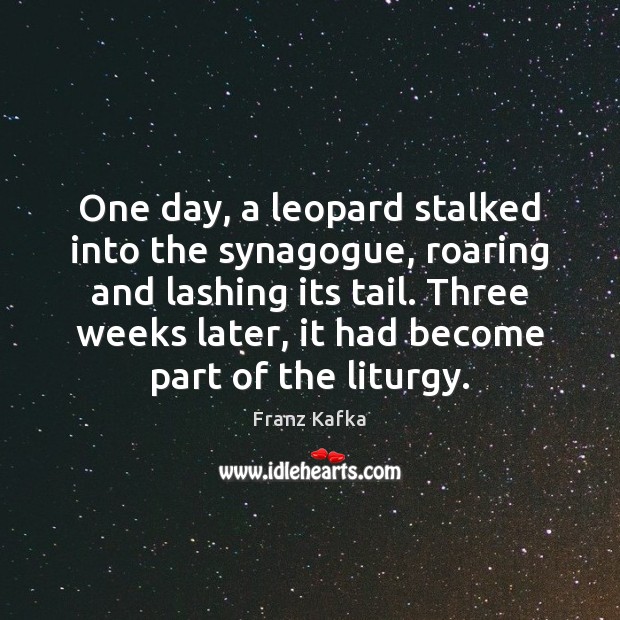 One day, a leopard stalked into the synagogue, roaring and lashing its Franz Kafka Picture Quote