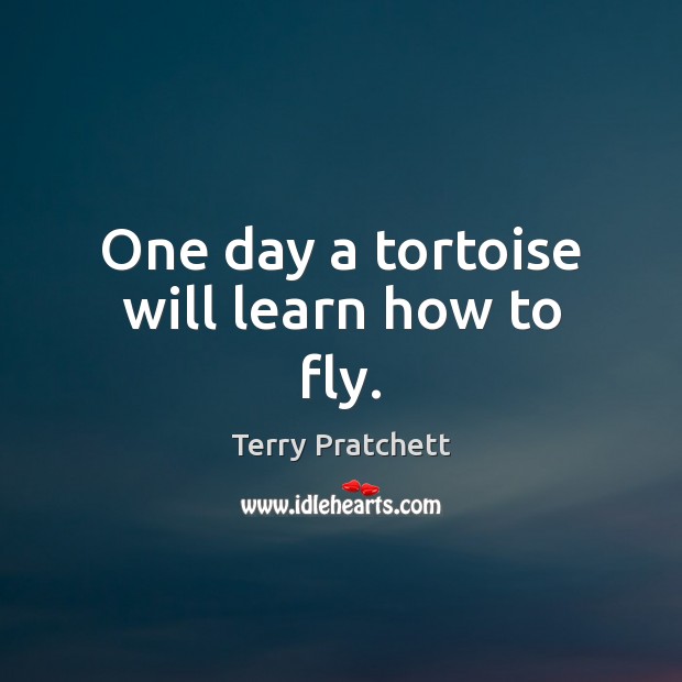 One day a tortoise will learn how to fly. Terry Pratchett Picture Quote