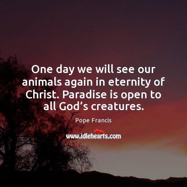 One day we will see our animals again in eternity of Christ. Pope Francis Picture Quote