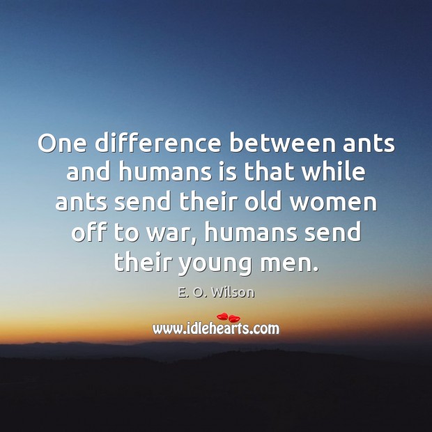One difference between ants and humans is that while ants send their War Quotes Image