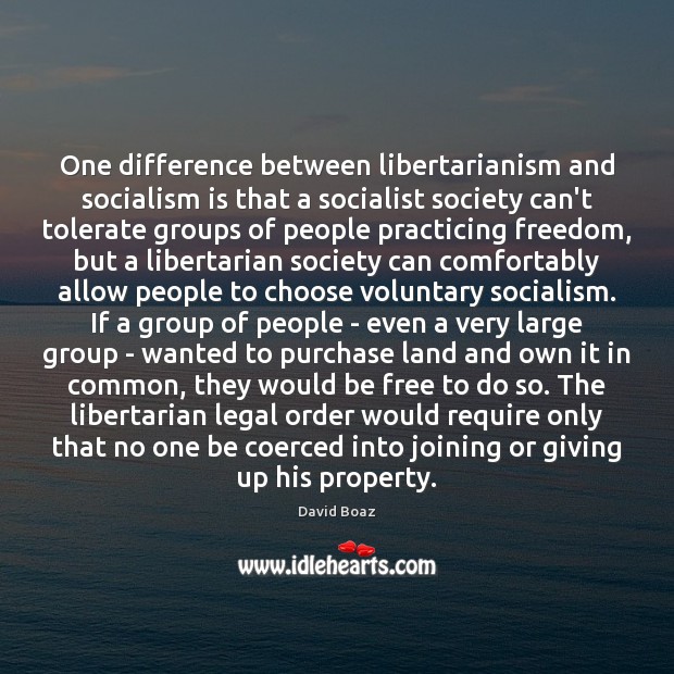 One difference between libertarianism and socialism is that a socialist society can’t David Boaz Picture Quote