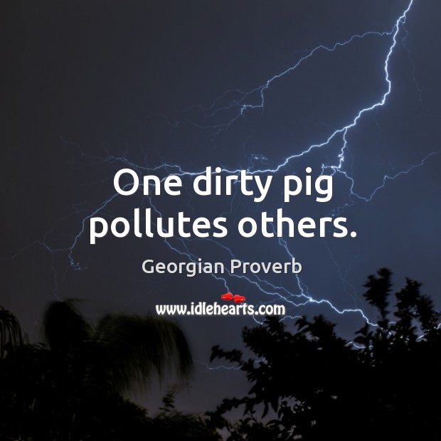 One dirty pig pollutes others. Georgian Proverbs Image