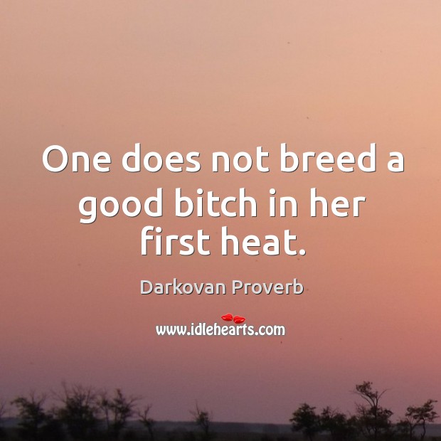 One does not breed a good bitch in her first heat. Darkovan Proverbs Image