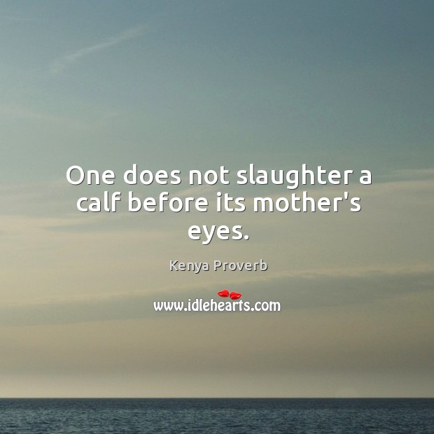 One does not slaughter a calf before its mother’s eyes. Kenya Proverbs Image