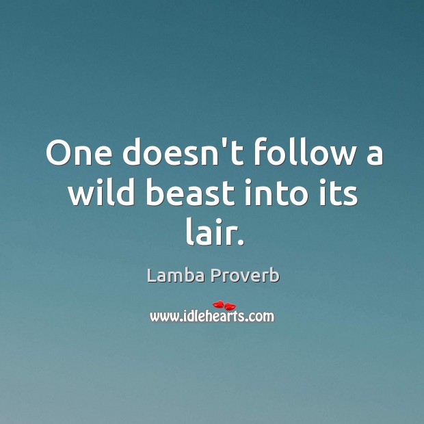 One doesn’t follow a wild beast into its lair. Lamba Proverbs Image