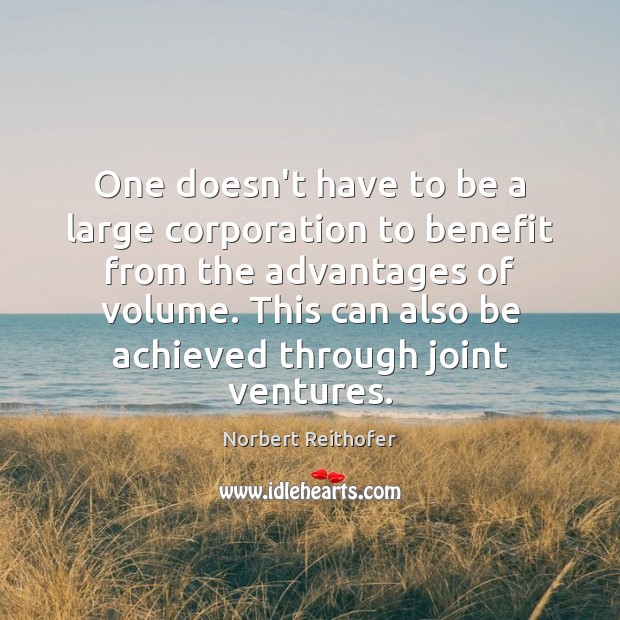 One doesn’t have to be a large corporation to benefit from the Norbert Reithofer Picture Quote