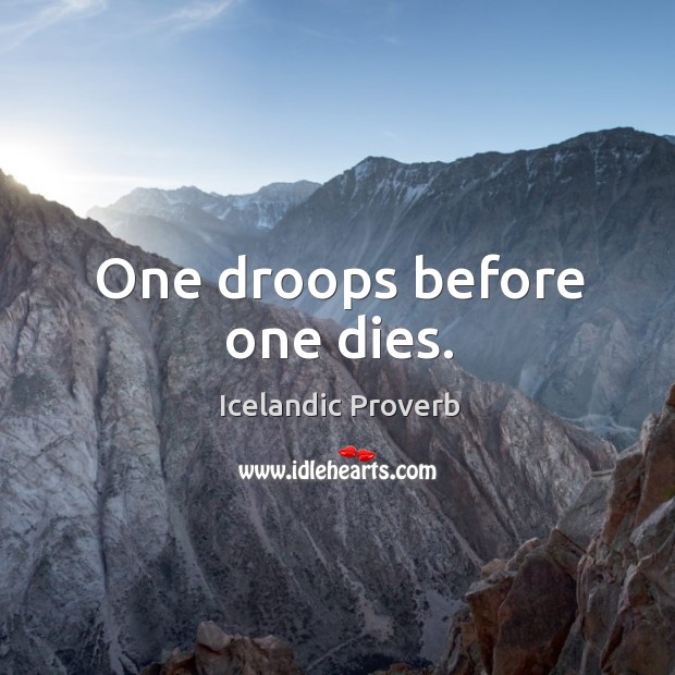 One droops before one dies. Icelandic Proverbs Image