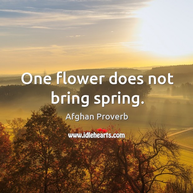 One flower does not bring spring. Afghan Proverbs Image