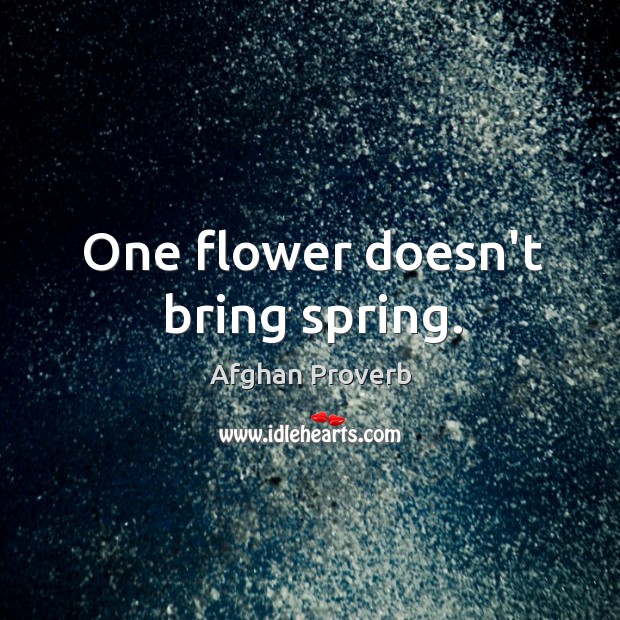 One flower doesn’t bring spring. Afghan Proverbs Image
