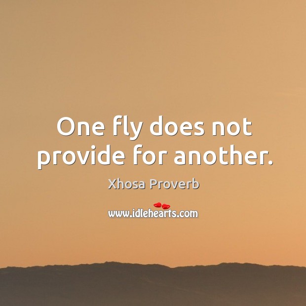 One fly does not provide for another. Xhosa Proverbs Image