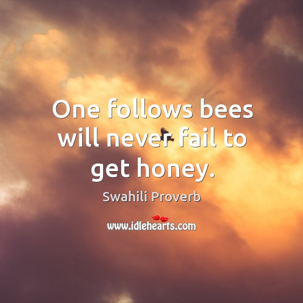 One follows bees will never fail to get honey. Swahili Proverbs Image