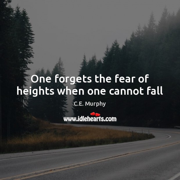 One forgets the fear of heights when one cannot fall Image