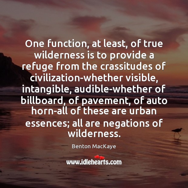 One function, at least, of true wilderness is to provide a refuge Image