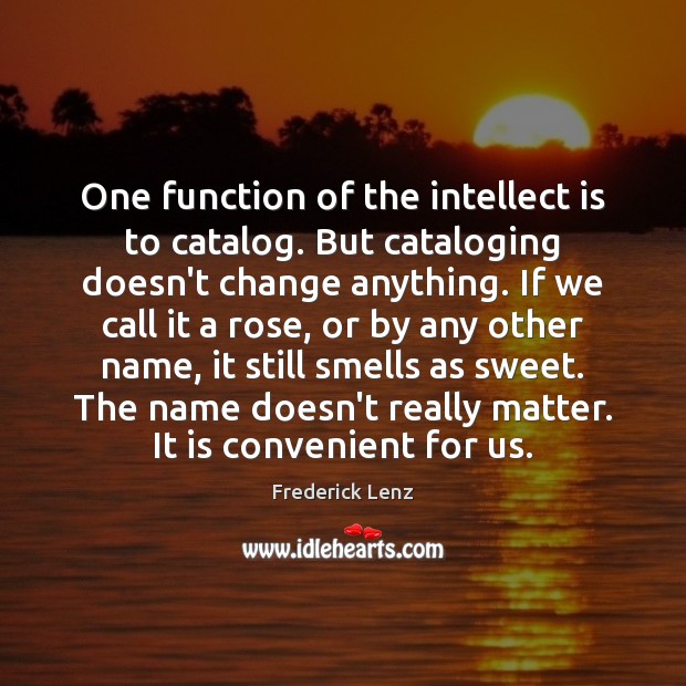 One function of the intellect is to catalog. But cataloging doesn’t change Image