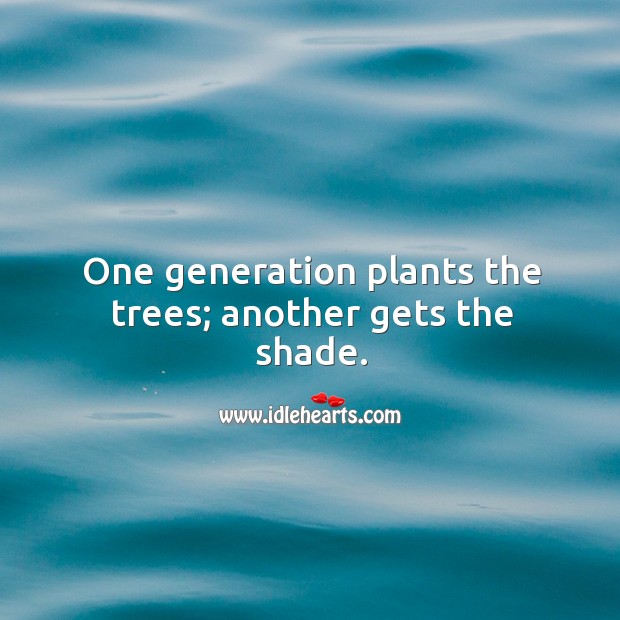One generation plants the trees; another gets the shade. Image