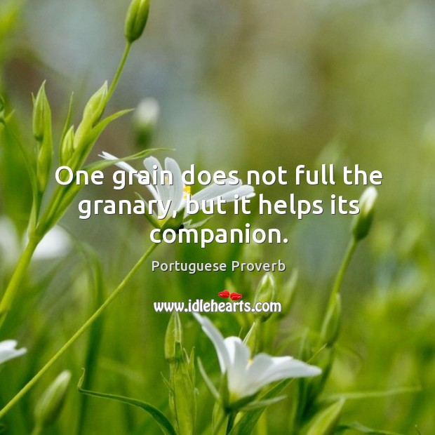 One grain does not full the granary, but it helps its companion. Portuguese Proverbs Image