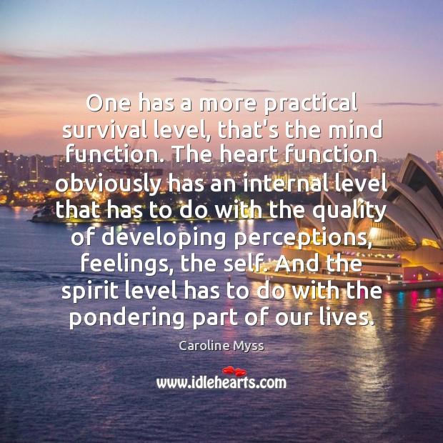 One has a more practical survival level, that’s the mind function. The Caroline Myss Picture Quote