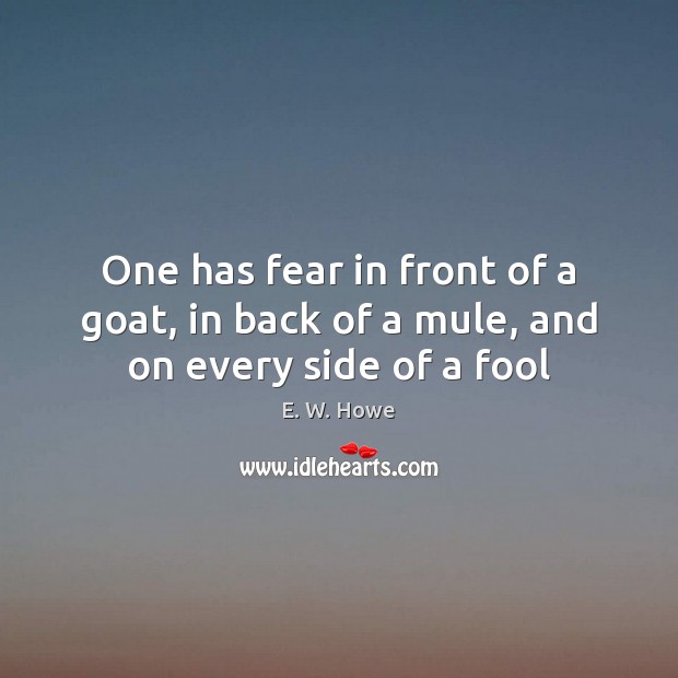One has fear in front of a goat, in back of a mule, and on every side of a fool Fools Quotes Image
